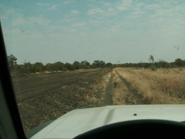 Botswana border
